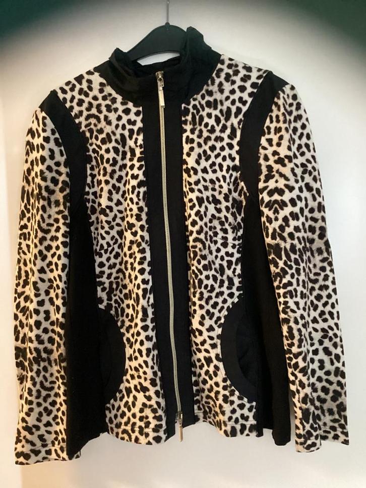 Frank Walder, vestje maat40  Frank Walder shirt, mt 42,, Kleding | Dames, Jasjes, Kostuums en Pakken, Zo goed als nieuw, Maat 38/40 (M)