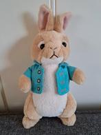 290.    Peter Rabbit Ty Knuffel 20cm, Kinderen en Baby's, Speelgoed | Knuffels en Pluche, Ophalen of Verzenden, Gebruikt, Konijn