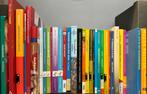 Diverse PABO-boeken, Ophalen of Verzenden, Alpha, Zo goed als nieuw, HBO