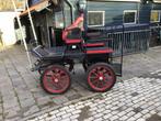 Mooie menwagen recreatie wagen men wagen, Marathonwagen, Gebruikt, Paard of Pony