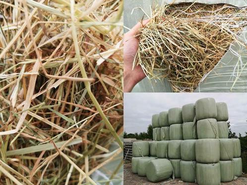 KUILGRAS MIDI BALEN te koop bij Stouten Fourage, Dieren en Toebehoren, Dierenvoeding, Vee, Ophalen of Verzenden