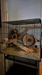 Zwarte stalen trolley met glazen hamsterkooi met hamster, Dieren en Toebehoren, Knaagdieren, Augustus, Vrouwelijk, Hamster