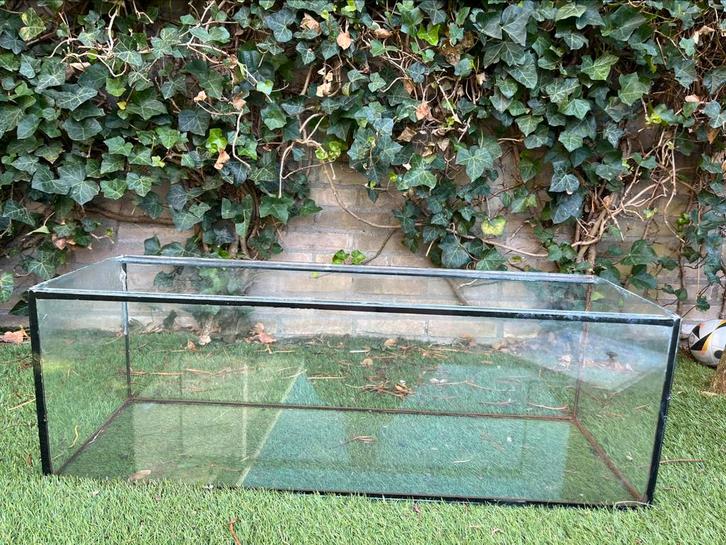 Terrarium, Dieren en Toebehoren, Reptielen en Amfibieën | Toebehoren, Gebruikt, Terrarium of Paludarium, Ophalen