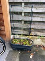 Veggie Wall elho - Plantenbak met frambozenplanten, Kunststof, Gebruikt, Ophalen of Verzenden, Binnen
