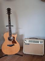 Taylor 814 CE + Mesa Boogie Rosette 300, Muziek en Instrumenten, Ophalen of Verzenden, Gebruikt, Western- of Steelstringgitaar