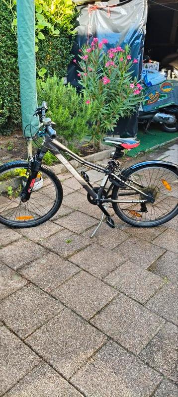Fiets in perfecte staat 8/14 jaarige kinderen  beschikbaar voor biedingen