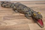Opgezette kaaiman (45 cm) taxadermie, Ophalen of Verzenden, Zo goed als nieuw, Reptiel of Amfibie, Opgezet dier