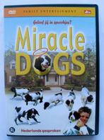 Miracle Dogs (originele dvd), Alle leeftijden, Ophalen of Verzenden, Avontuur, Film