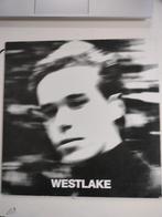 80's indie rock DAVID WESTLAKE, Cd's en Dvd's, Vinyl | Rock, Ophalen of Verzenden, 12 inch, Poprock