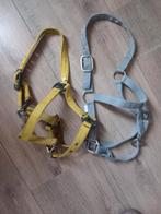halsters geel en grijs, Ophalen of Verzenden, Gebruikt, Overige soorten