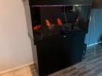 Juwel 400 liter aquarium compleet, Dieren en Toebehoren, Vissen | Aquaria en Toebehoren, Ophalen of Verzenden, Gebruikt, Verlichting of Verwarming