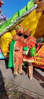Leeuwen voor jong en oud. Groep, loopgroep, carnaval, Ophalen, Carnaval, Maat 42/44 (L), Kleding