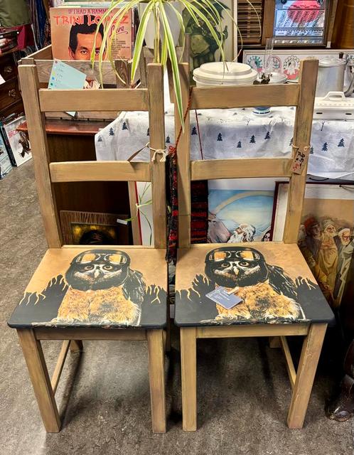 2 stoelen met stoere uil, Huis en Inrichting, Stoelen, Overige kleuren, Ophalen