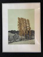 Originele ets van Sees Vlag, getiteld “Geuldal”, met boek, Antiek en Kunst, Ophalen