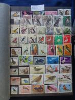 vogels - 2 album kantjes (b5-1), Postzegels en Munten, Postzegels | Volle albums en Verzamelingen, Ophalen of Verzenden, Buitenland