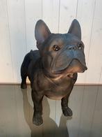 Franse bulldog zwart, Ophalen of Verzenden, Nieuw