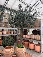 🔥 De Ferrari onder de olijfbomen – Kunst / Zijde 🔥, Huis en Inrichting, Binnen, Nieuw, Ophalen of Verzenden, 123olijfbomen.nl