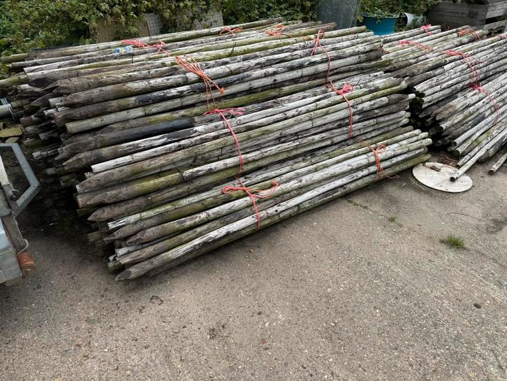 Boompalen, Tuin en Terras, Palen, Balken en Planken, Gebruikt, Palen, 180 tot 250 cm, Ophalen