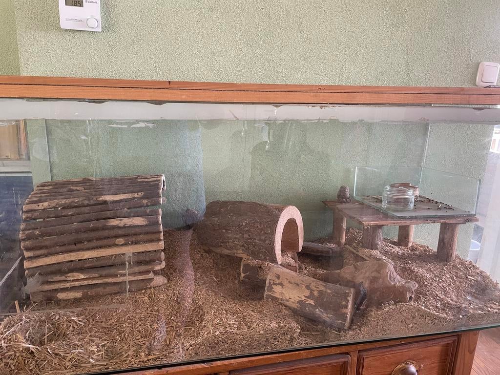 Gerbilhok (niet voor vissen), Dieren en Toebehoren, Ophalen of Verzenden, 110 cm of meer, Hok, Minder dan 60 cm