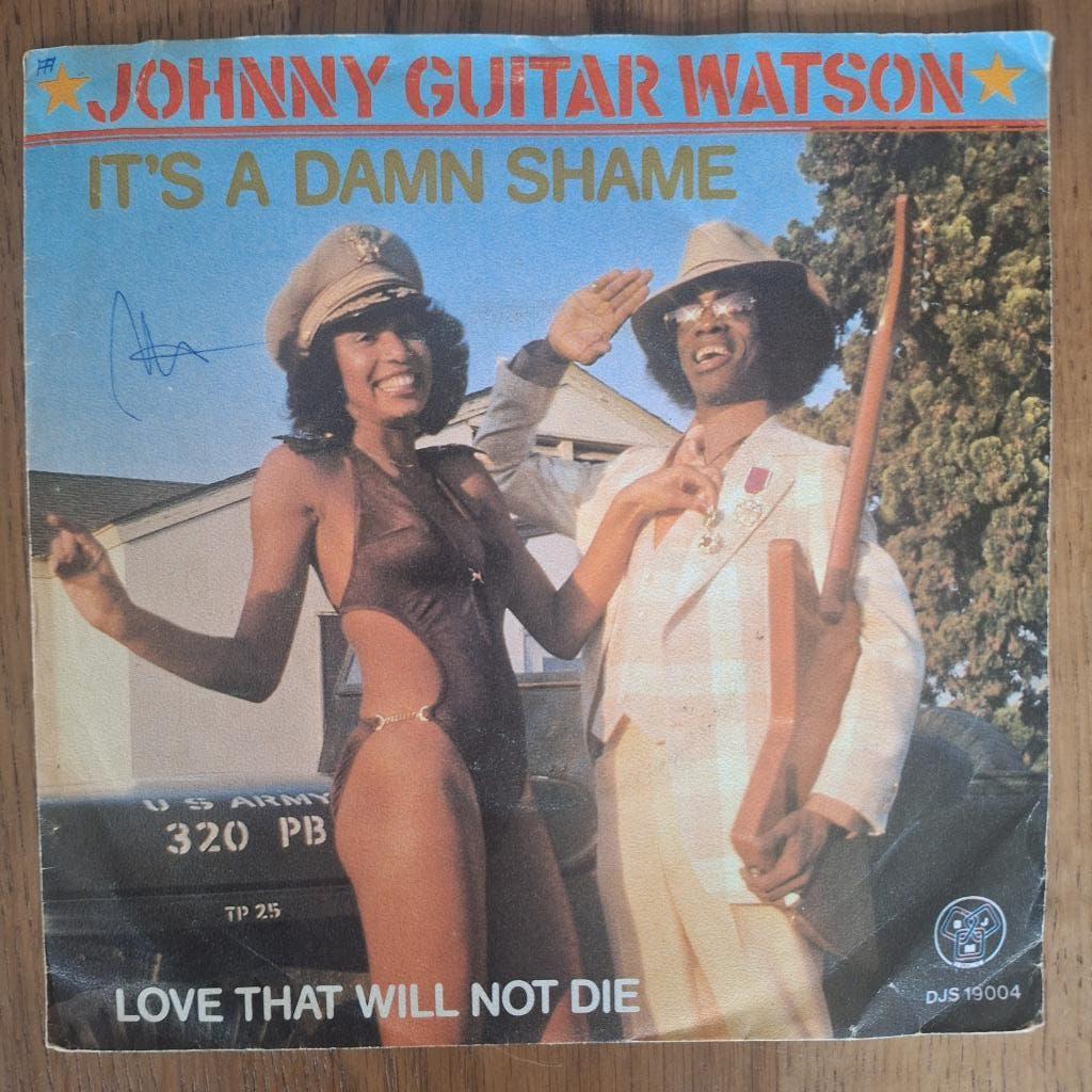 Johnny Guitar Watson - It's A Damn Shame (056), Ophalen of Verzenden, Gebruikt, Pop