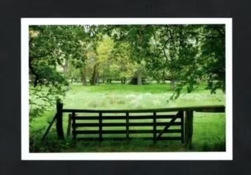 Smeerling Gemeente Onstwedde Het Metbroekbos., Verzamelen, Ansichtkaarten | Nederland, Ophalen of Verzenden, 1980 tot heden, Ongelopen