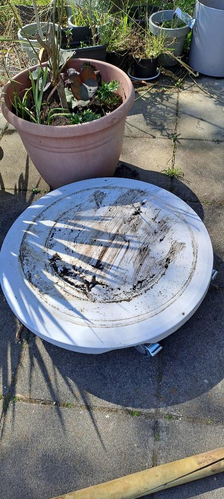 boomkuip trolley karretje transport, Ophalen, Gebruikt, Rond, Overige materialen