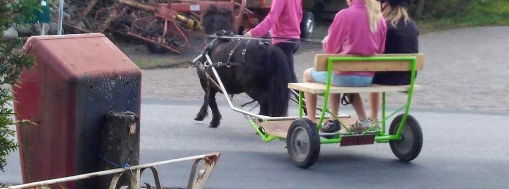 Tuig met sulky voor shetlander, Ophalen, Overige soorten