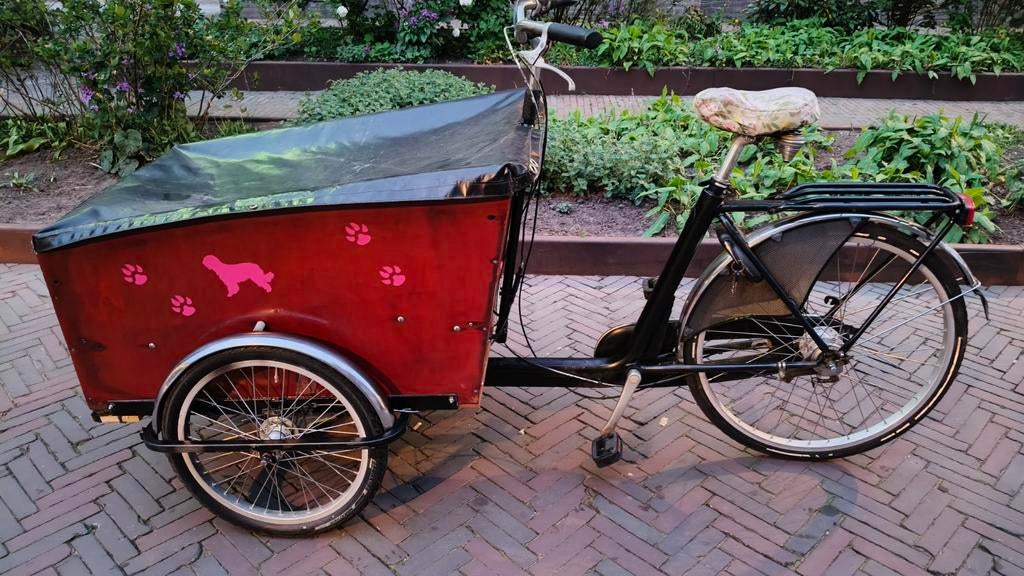 Bakfiets / transportfiets – hondenkar / taxi service – goed, Ophalen, Gebruikt, Goederen