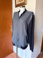 Luxe heren vest met drukknopen - Maat L, Ophalen of Verzenden, Gedragen, Maat 52/54 (L), Grijs