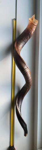 KUDU SHOFAR 94CM, Ophalen of Verzenden