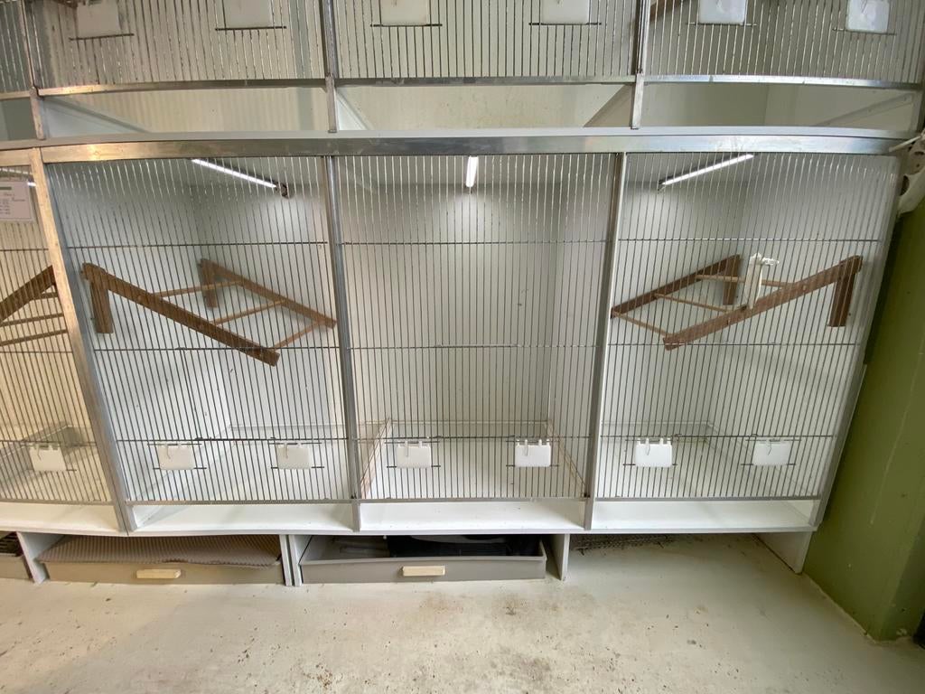 Gehu voliere 150 cm, Dieren en Toebehoren, Vogels | Hokken en Kooien, Ophalen, Gebruikt, Hout, Vogelkooi