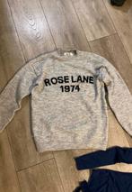 H&M ROSELANE trui grijs, Ophalen of Verzenden, Nieuw, Maat 34 (XS) of kleiner, Grijs