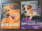 Puppy groep 2 x., Boeken, Dieren en Huisdieren, Ophalen of Verzenden