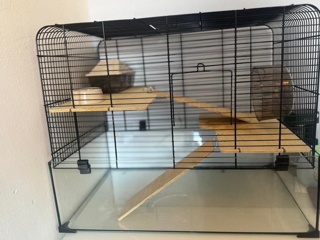 Hamsterkooi, Dieren en Toebehoren, Knaagdieren en Konijnen | Hokken en Kooien, Ophalen