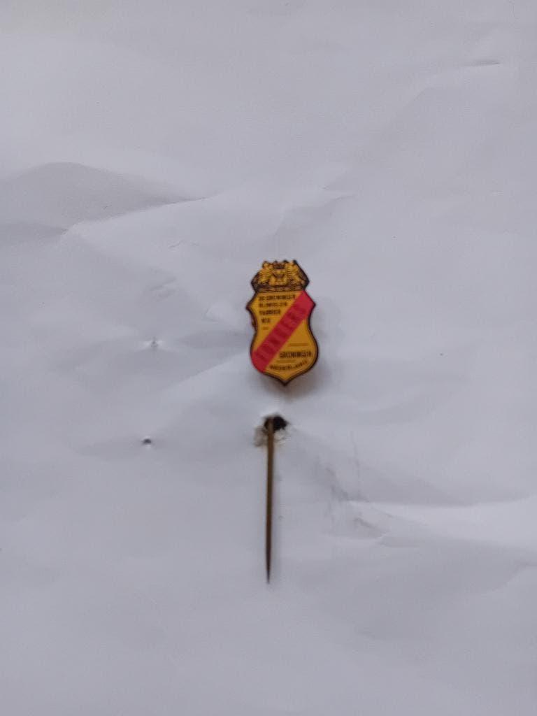 Pin - De Groninger Rijwielen Fabriek N.V. - FONGERS, Ophalen of Verzenden, Nieuw, Merk, Speldje of Pin