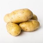 DITTA pootaardappelen GEZOCHT !, Ophalen of Verzenden, Overige soorten, Volle zon