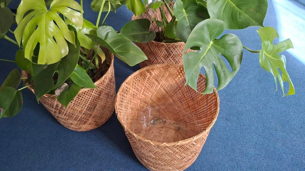 Grote rieten plantenbakken Ikea, 3 stuks, Tuin en Terras, Bloembakken en Plantenbakken, Kunststof, Minder dan 30 cm, Rond, Nieuw