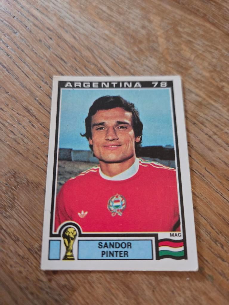 Panini WK 78, Ophalen of Verzenden, Zo goed als nieuw, Buitenlandse clubs, Poster, Plaatje of Sticker