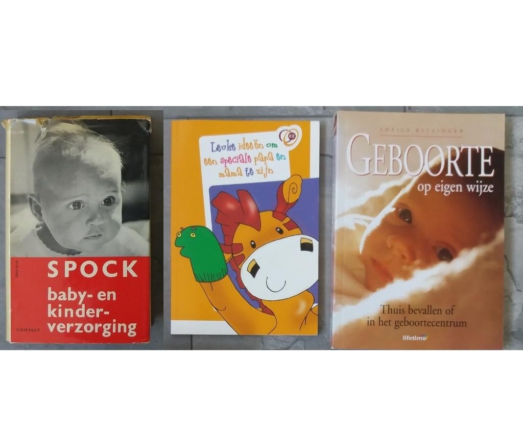 zwangerschap en opvoeding boeken pakket (3 x boeken), Ophalen of Verzenden, Zo goed als nieuw, Zwangerschap en Bevalling