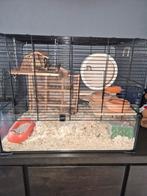 Complete bak/kooi voor kleine knaagdieren, Kooi, Minder dan 75 cm, Ophalen, Minder dan 60 cm