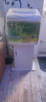 Aquarium  60 liter, Ophalen, Leeg aquarium