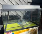 Jewel 60 liter aquarium met thermosstaat, Ophalen, Zo goed als nieuw, Leeg aquarium