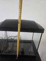 Aquarium inclusief toebehoren, Ophalen, Zo goed als nieuw, Leeg aquarium