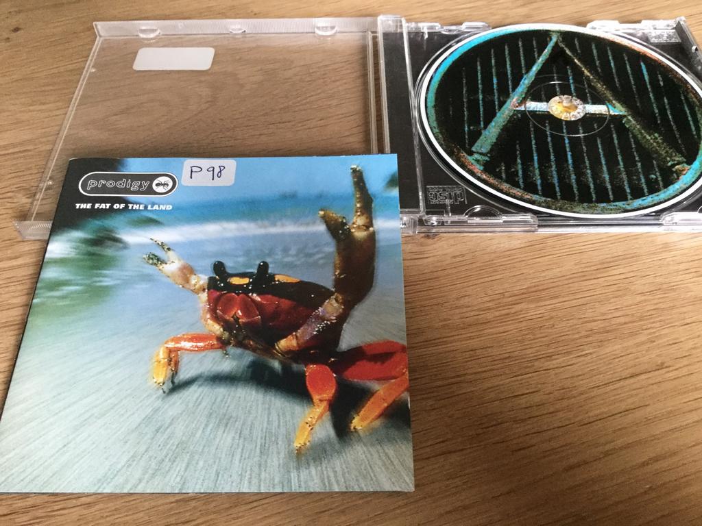 The Prodigy-The fat of the land. Geen intro nodig., Ophalen of Verzenden, Zo goed als nieuw, Poprock