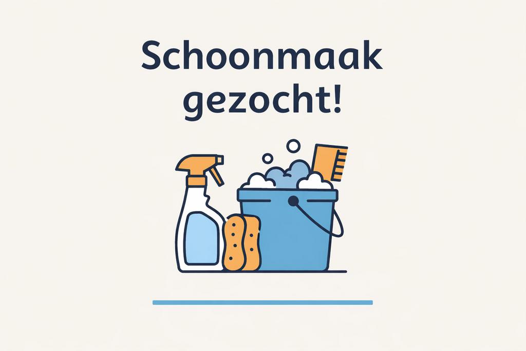 Cleaning needed – Leiden, Diensten en Vakmensen, Schoonmakers en Glazenwassers