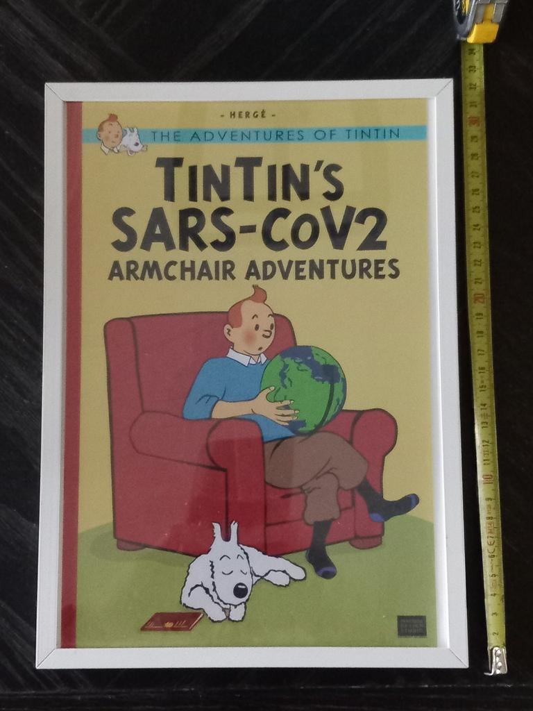 Tin tin kuifje poster in lijst, Ophalen of Verzenden, Kuifje, Plaatje, Poster of Sticker