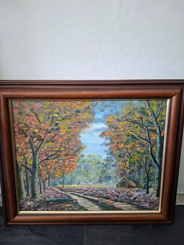 Mooi schilderij, Ophalen of Verzenden