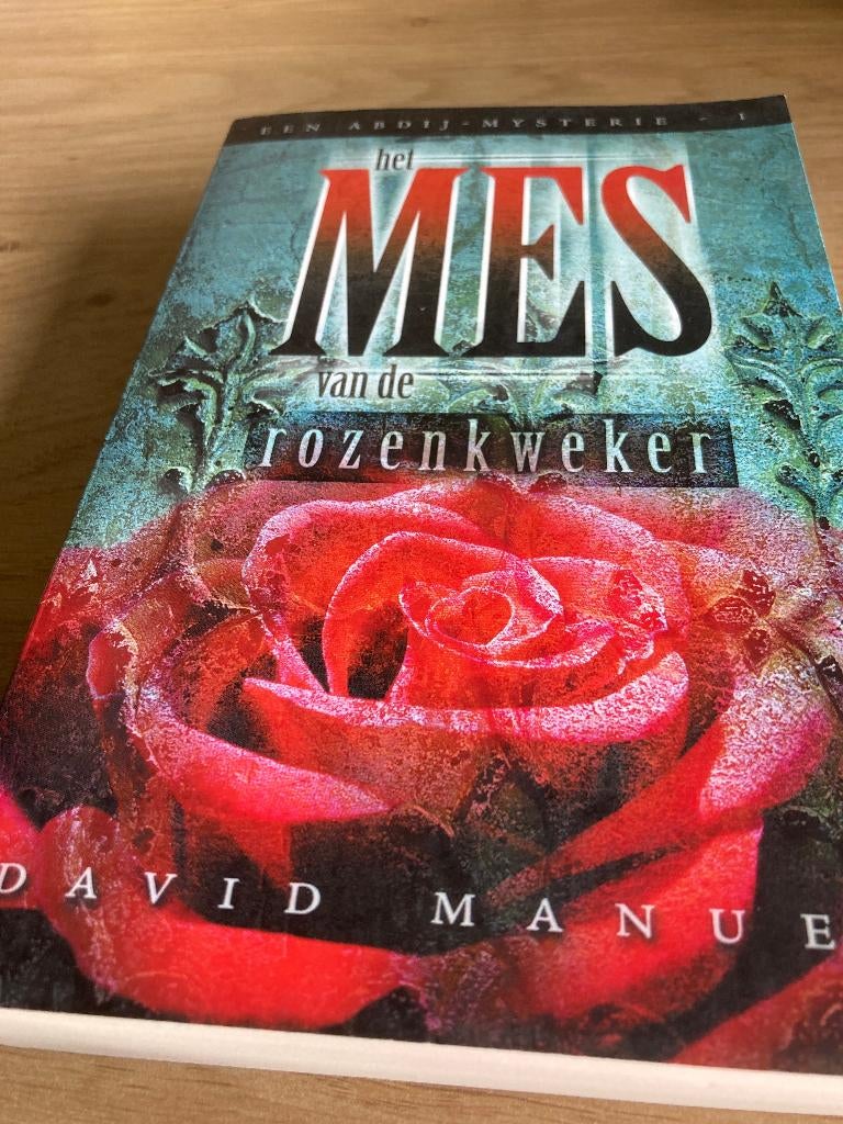 Boek David Manuel, Ophalen of Verzenden, Gelezen