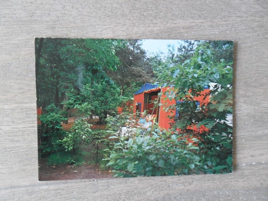 Bosschenhoofd, camping de Wildert/tent, Verzenden, 1980 tot heden, Gelopen, Noord-Brabant