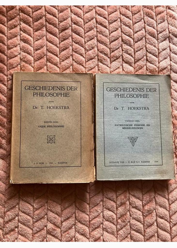 Geschiedenis der Philosophie T Hoekstra, Boeken, Ophalen of Verzenden, Gelezen, Christendom | Protestants